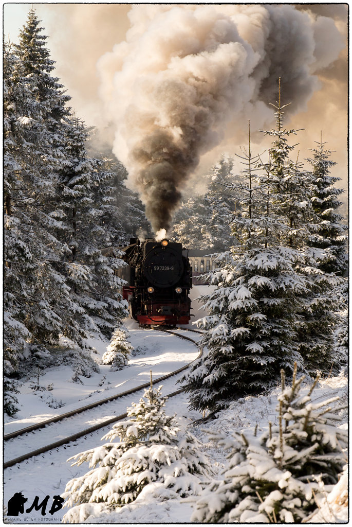 Harz